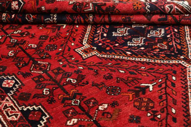 Shiraz - 9