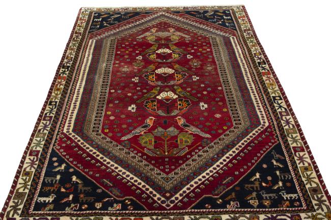 Shiraz - 3