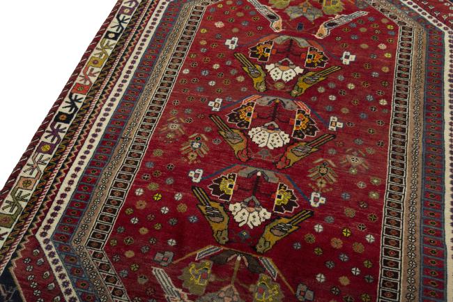 Shiraz - 4