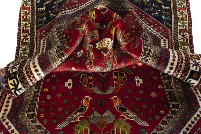 Shiraz - 8