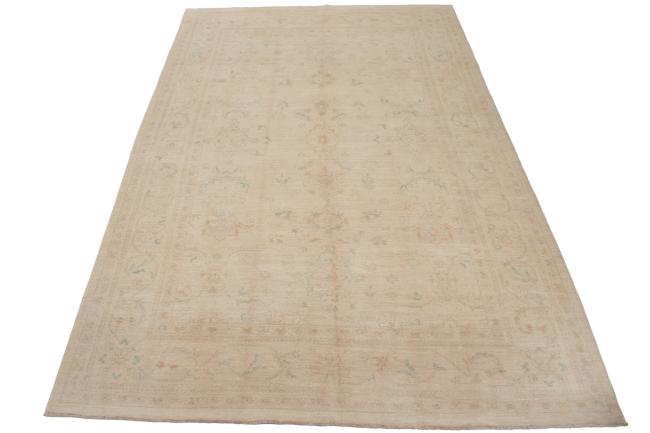 Ziegler Farahan - 3