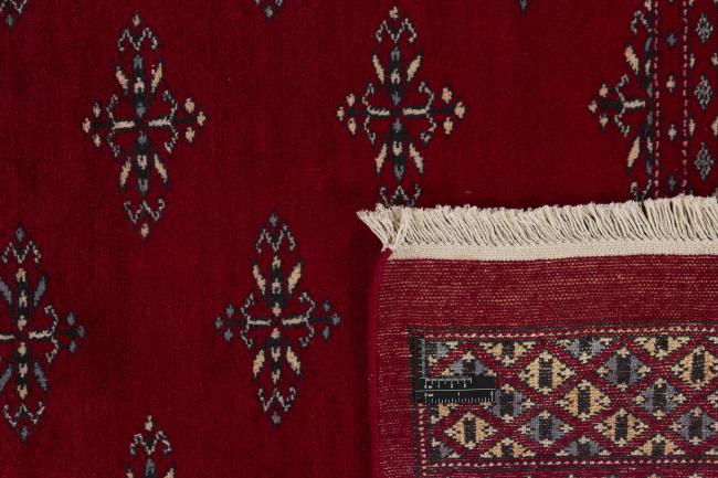 Pakistan Buchara 2ply - 1