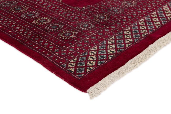 Pakistan Buchara 2ply - 3