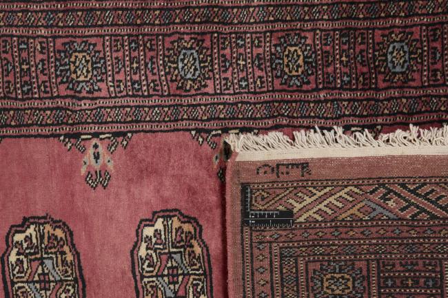 パキスタン Buchara 3ply - 1