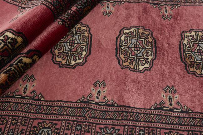 パキスタン Buchara 3ply - 2