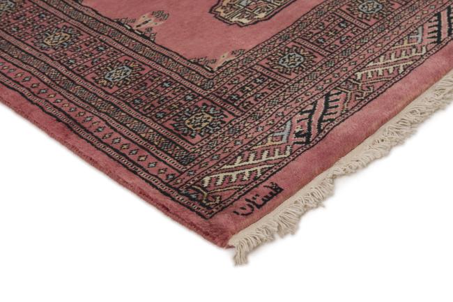 パキスタン Buchara 3ply - 3