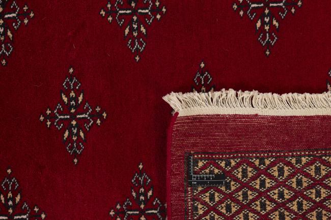 Pakistan Buchara 2ply - 1