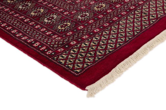 Pakistan Buchara 2ply - 3