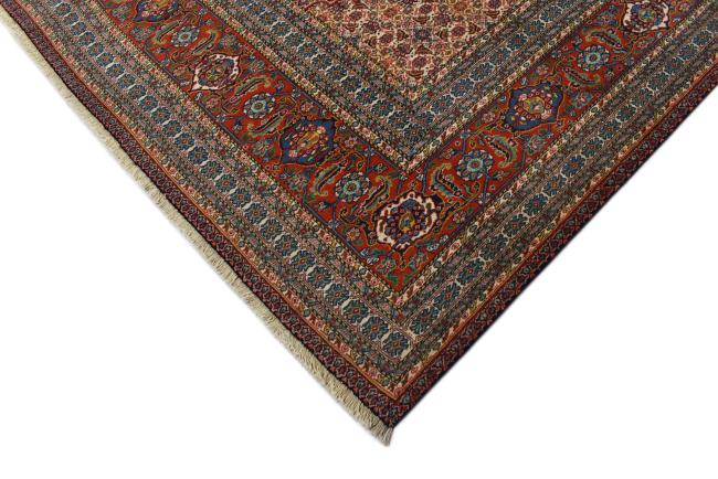 Tabriz Mashayekhi - 4