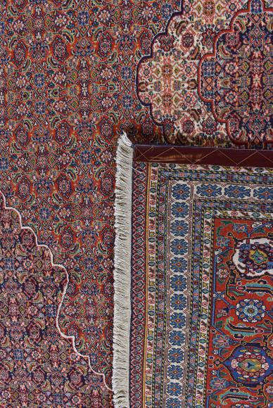 Tabriz Mashayekhi - 6