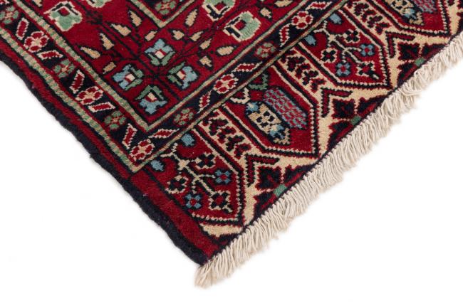 Pakistan Buchara 2Ply - 5