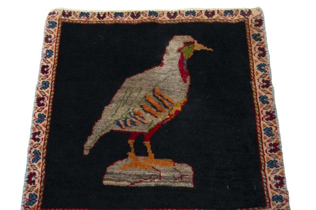 Shiraz - 3