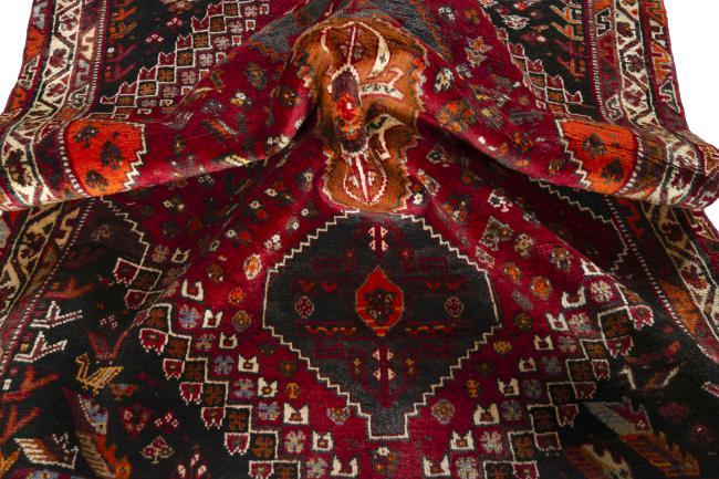 Shiraz - 8