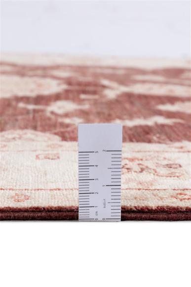 Ziegler Farahan - 3