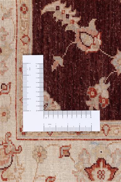 Ziegler Farahan - 4