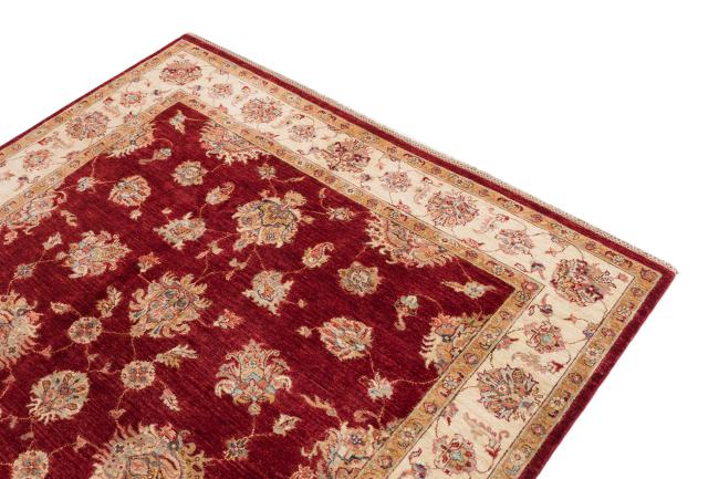 Ziegler Farahan - 3