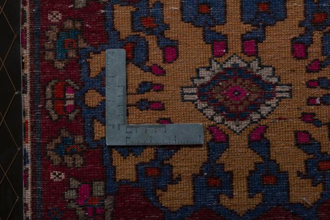 Shiraz - 4