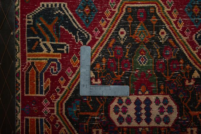 Shiraz - 4
