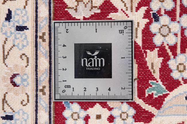 Nain 6La - 10