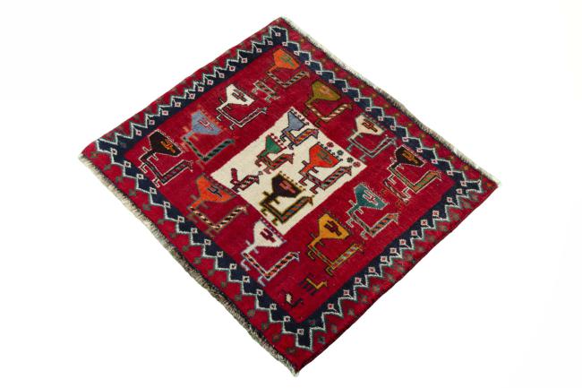 Shiraz - 1