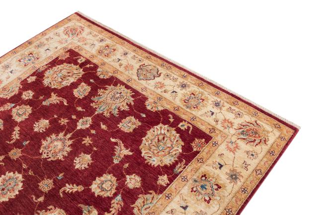 Ziegler Farahan - 3