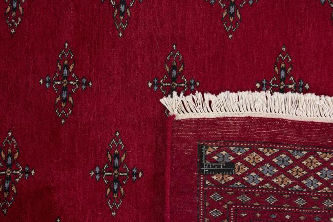 Pakistan Buchara 3ply - 1