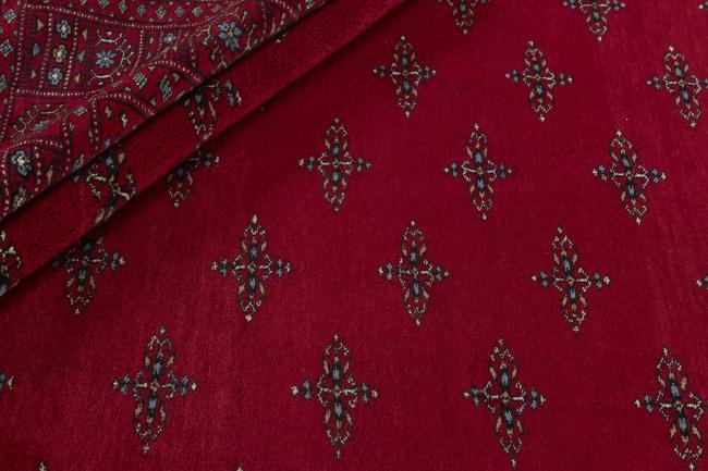 Pakistan Buchara 3ply - 2