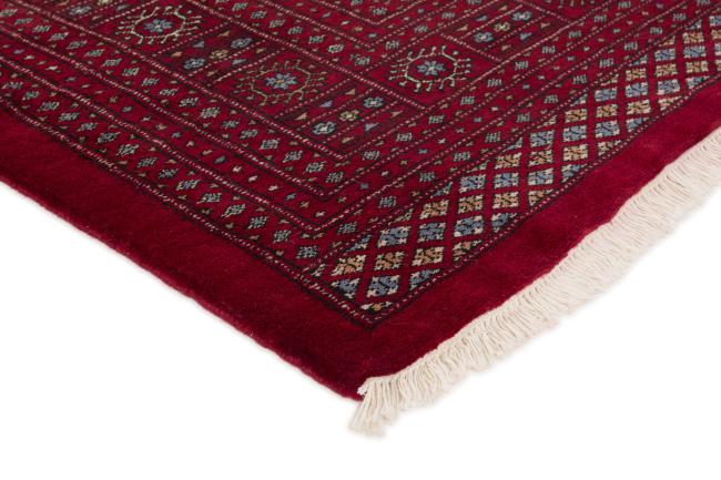 Pakistan Buchara 3ply - 3