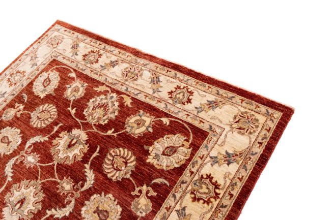 Ziegler Farahan - 3