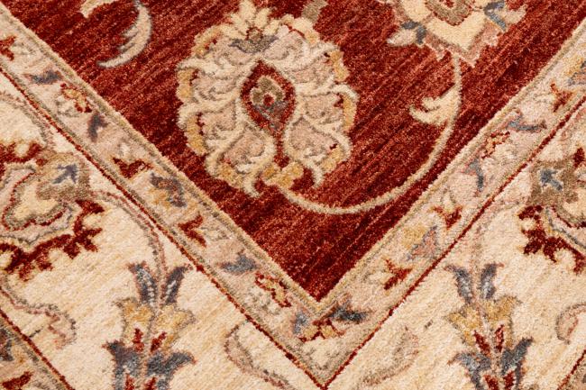 Ziegler Farahan - 6