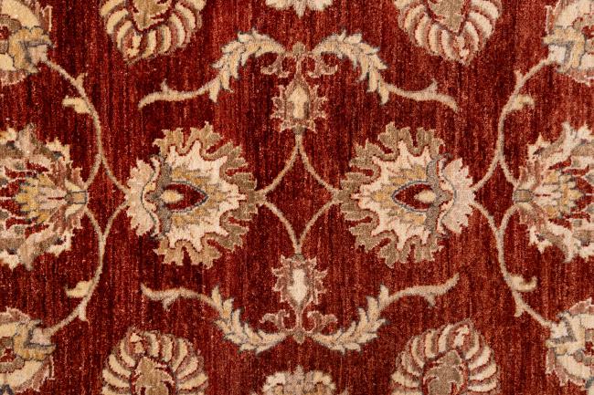 Ziegler Farahan - 8