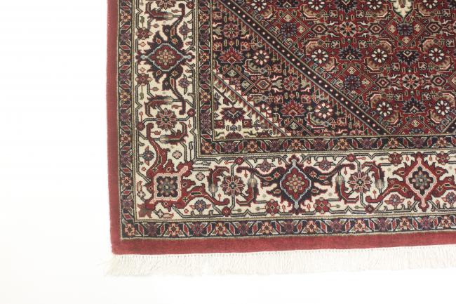 Indo Bidjar Super - 10