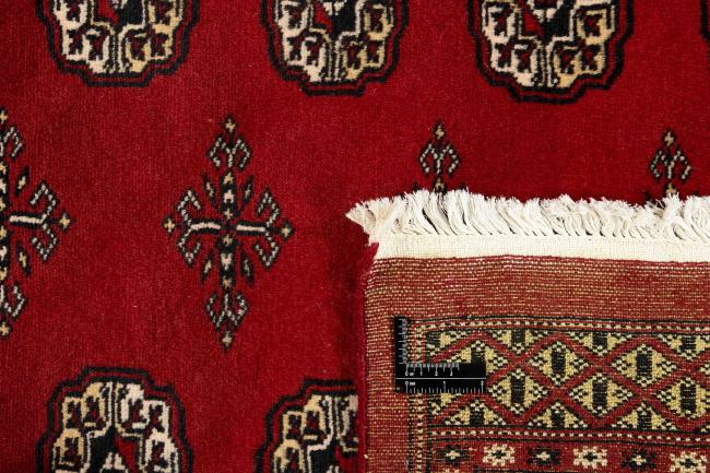 Pakistan Buchara 2ply - 1