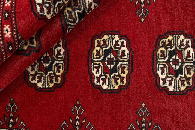 Pakistan Buchara 2ply - 2