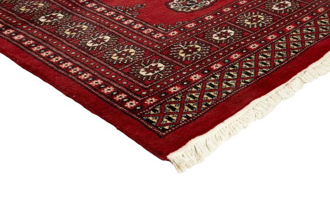 Pakistan Buchara 2ply - 3