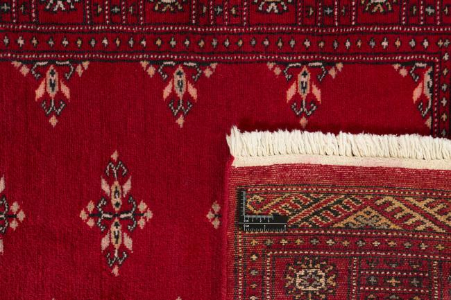 Pakisztáni Buchara 2ply - 1