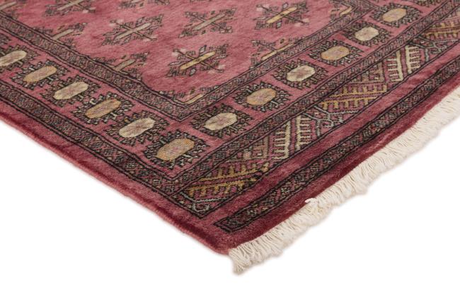 Pakistan Buchara 3ply - 3