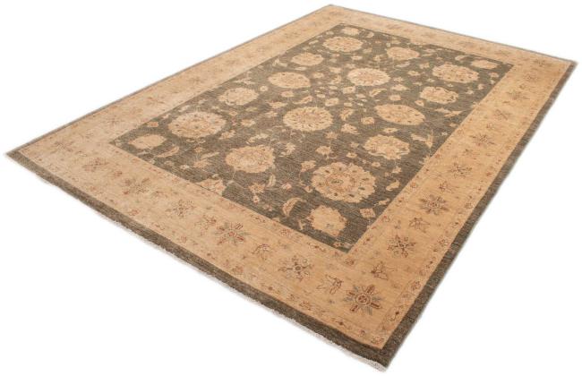Ziegler Farahan - 2