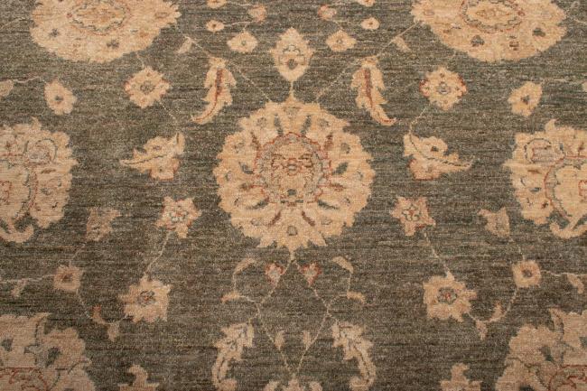 Ziegler Farahan - 5