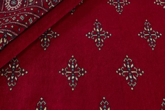 パキスタン Buchara 2ply - 2