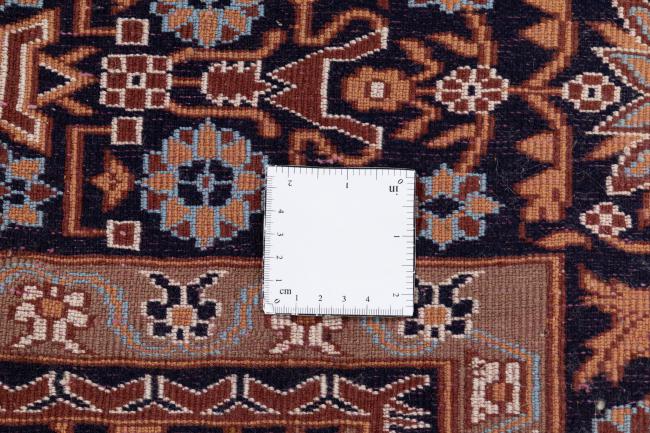 Pakistan - 11