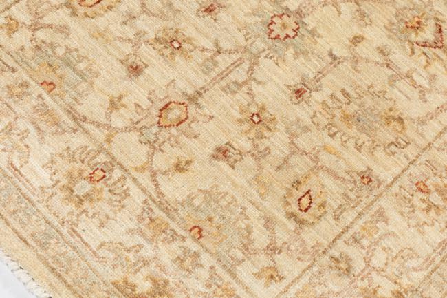 Ziegler Farahan - 4