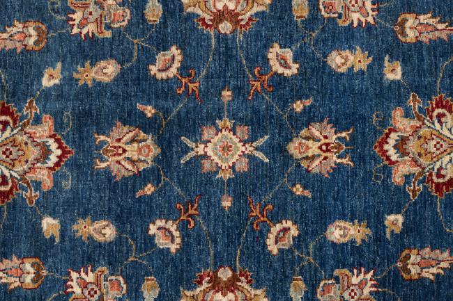 Ziegler Farahan - 7