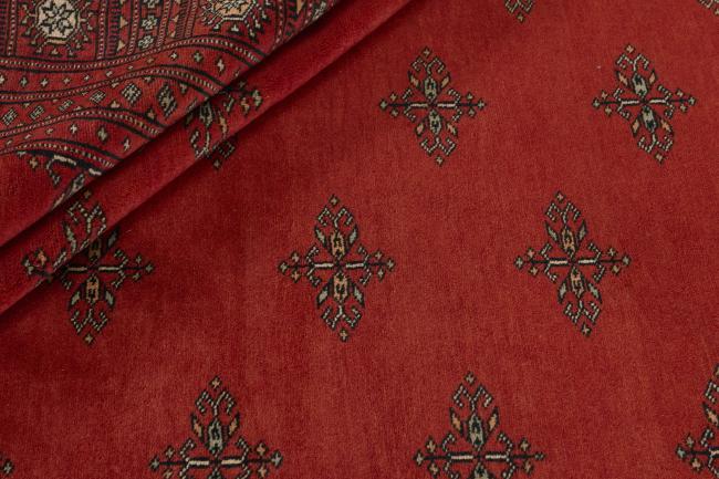 Pakistan Buchara 3ply - 1