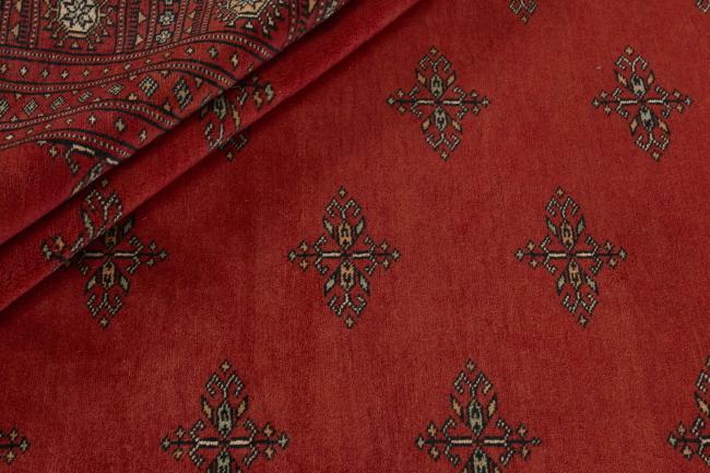 Pakistan Buchara 3ply - 2
