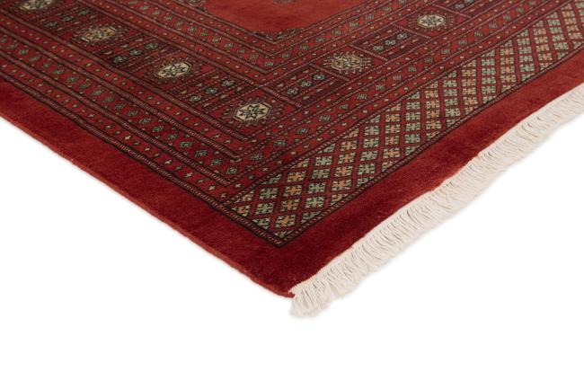 Pakistan Buchara 3ply - 3