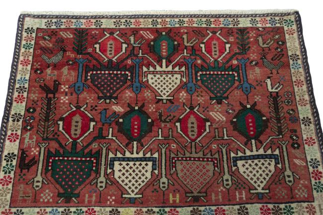 Shiraz - 3