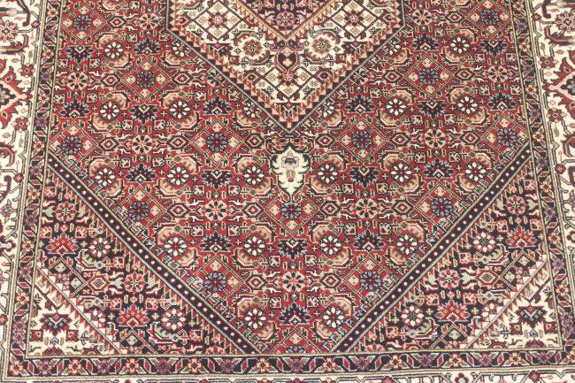 Indo Bidjar Super - 8