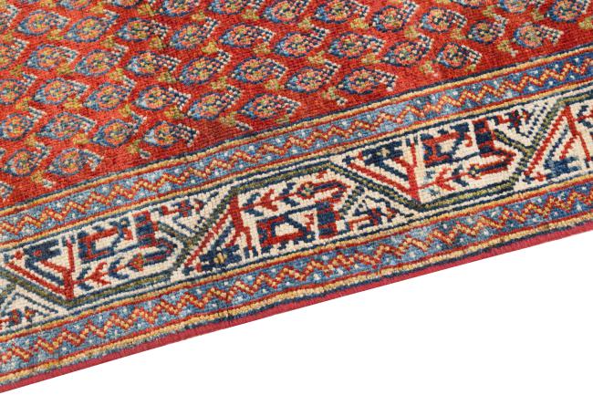 Saruk Mir Boteh - 4