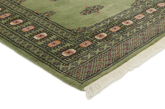 Pakistan Buchara 2ply - 3